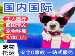 长水空运地址国际宠物托运 【国